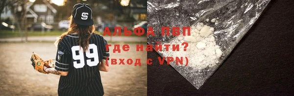 ГАЛЛЮЦИНОГЕННЫЕ ГРИБЫ Иннополис