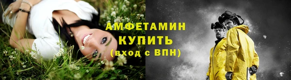ALPHA PVP Инсар