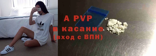 спиды Инта