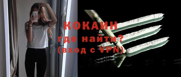 ALPHA PVP Инсар