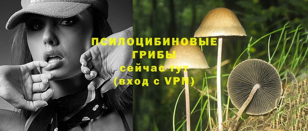 спиды Инта
