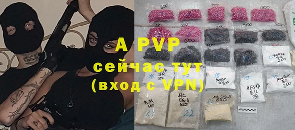 спиды Инта