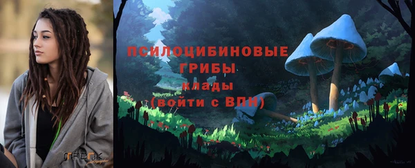 ГАЛЛЮЦИНОГЕННЫЕ ГРИБЫ Иннополис