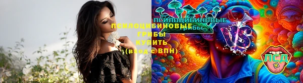 ALPHA PVP Инсар
